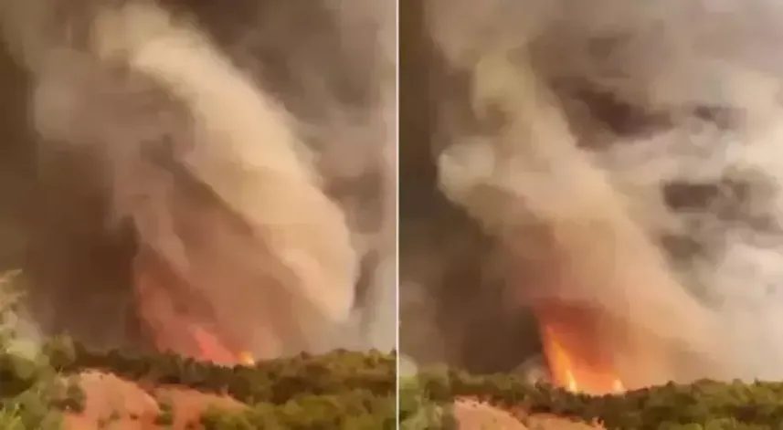 Sakarya'da başlayıp Bilecik'e sıçrayan yangın alev hortumu oluşturdu