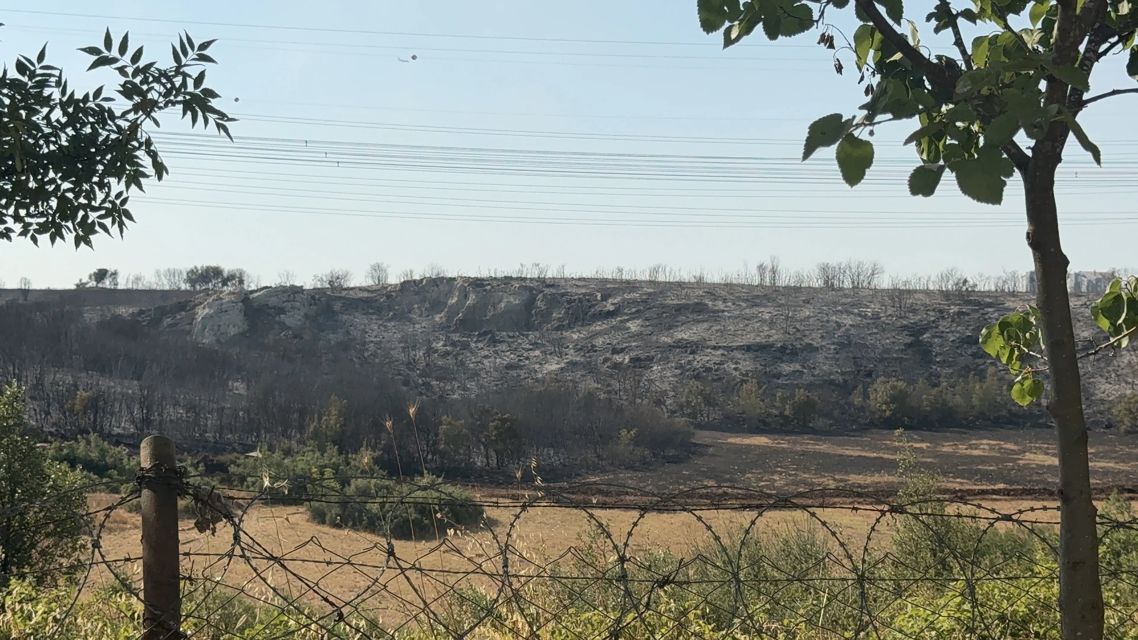 Başakşehir'de çalılık alanda yangın