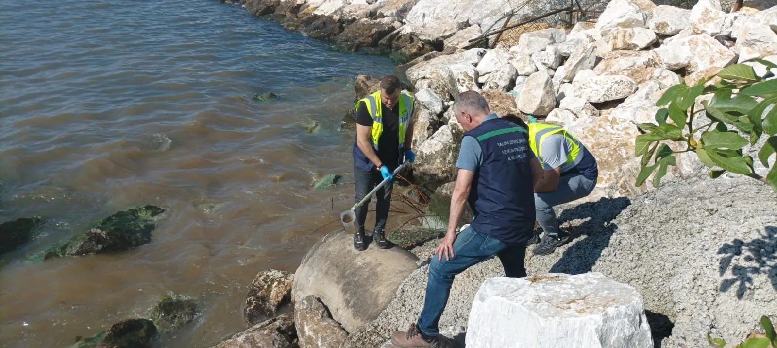 Kanalizasyonu denize deşarj eden Yalova Belediyesi'ne 1.3 milyon lira ceza