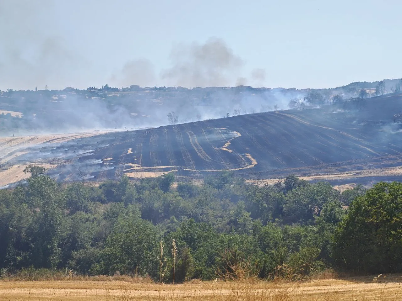 Malkara'da anız yangını 200 dönümlük arazide tahribata yol açtı