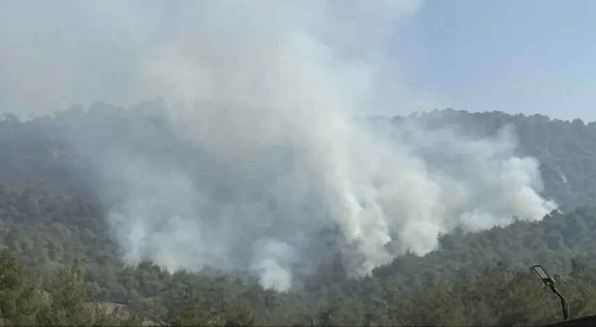 Sakarya'dan Bilecik tarafına sıçrayan orman yangınına 3. gününde müdahale sürüyor