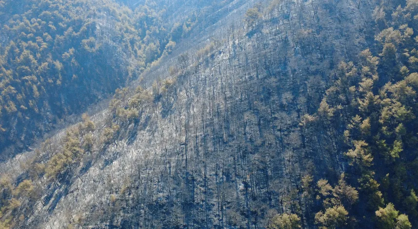 Karabük'te orman yangınına müdahale sürüyor; yanan alan havadan görüntülendi