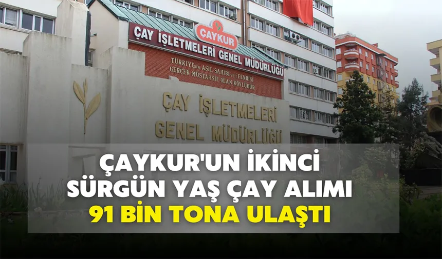 ÇAYKUR'un ikinci sürgün yaş çay alımı 91 bin tona ulaştı