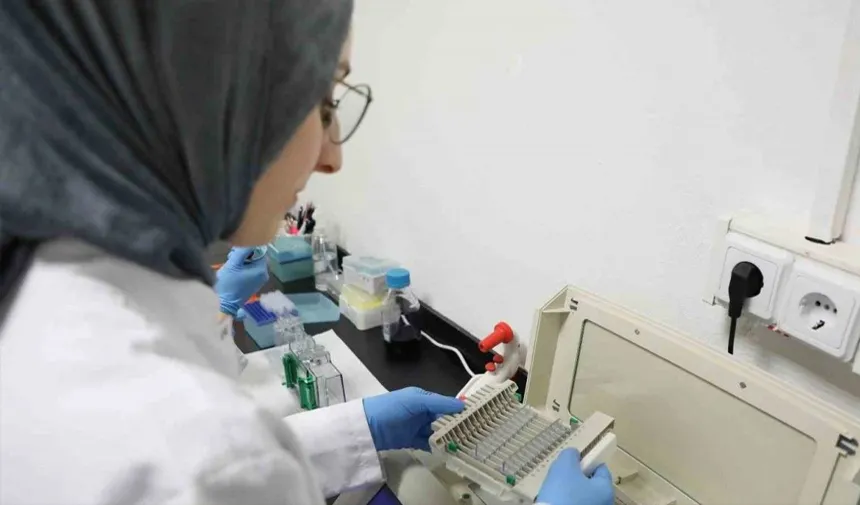 Kanseri önlemede yeni umut: kereviz tohumu