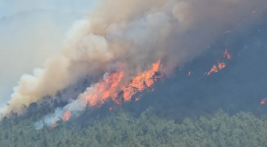 Karabük'teki orman yangınlarında 4'üncü gün