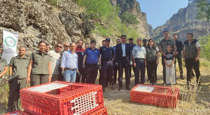 Bolu’da doğaya 600 kınalı keklik bırakıldı