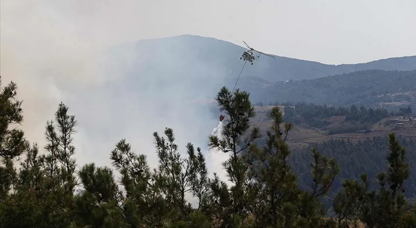 Bursa, Uşak ve Mersin'deki orman yangınlarına müdahale sürüyor