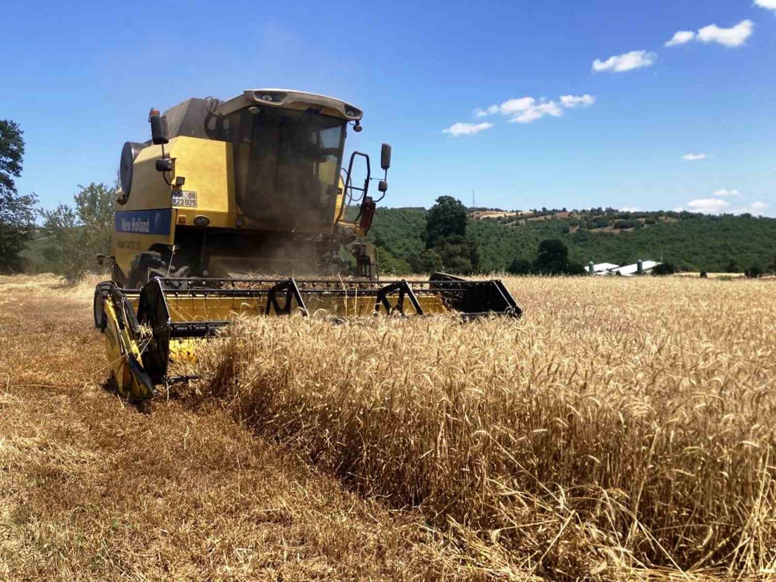 Samsun bitkisel üretimde hedef büyüttü