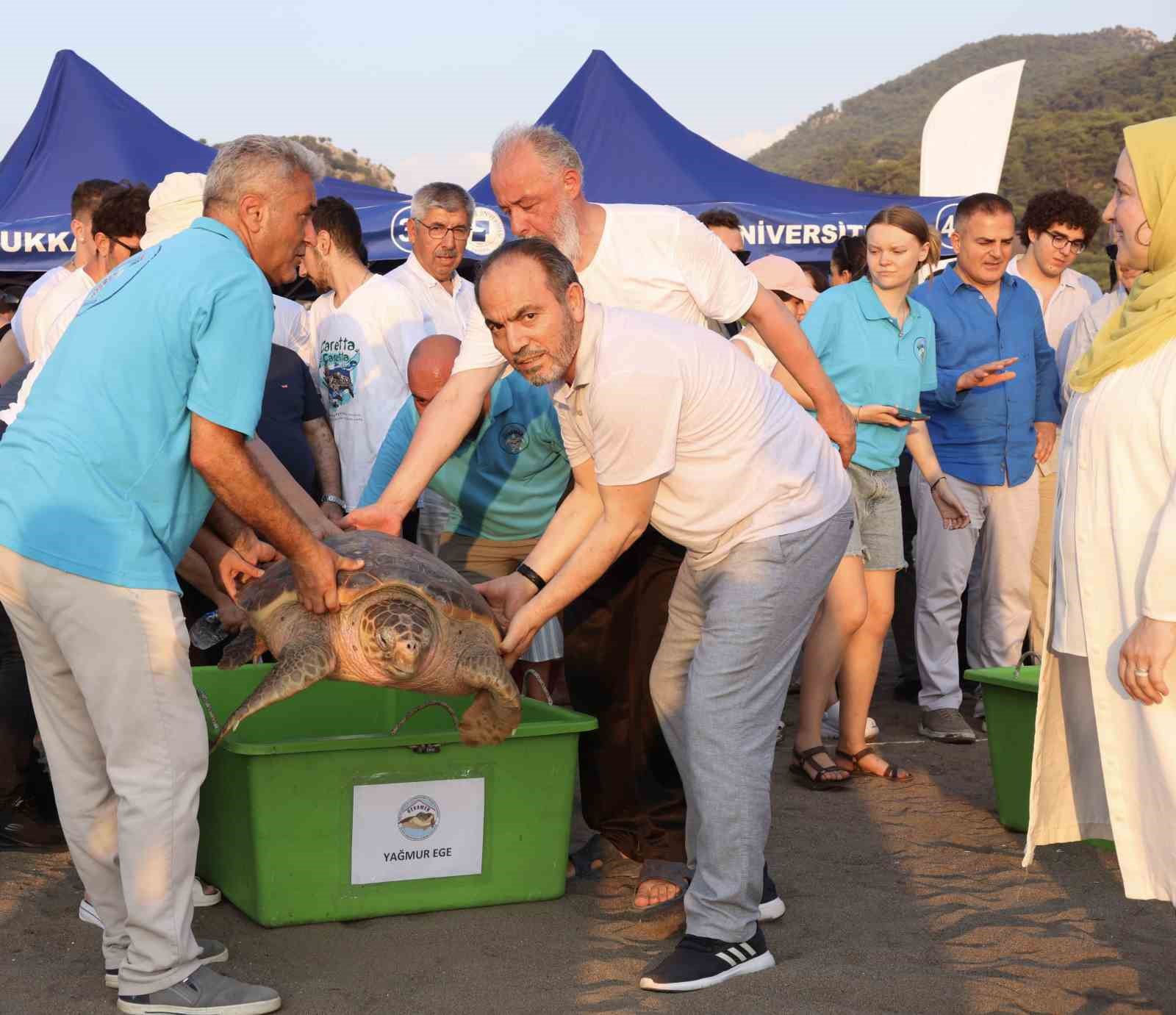 Tedavi edilen caretta carettaların mavi yolculuğu ilk kez yerli uydu ile izlenecek