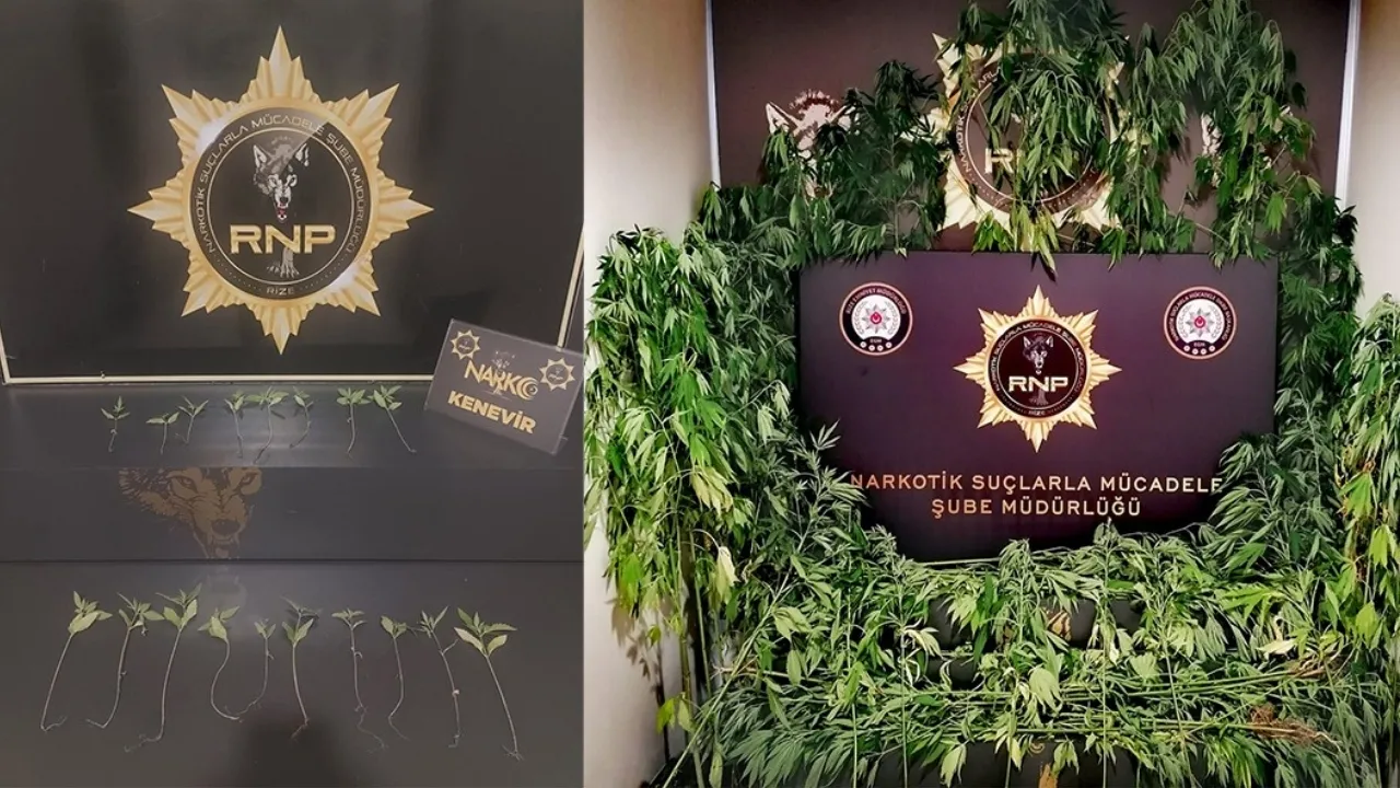 Rize'deki Uyuşturucu Operasyonlarında 2 Kişi Tutuklandı