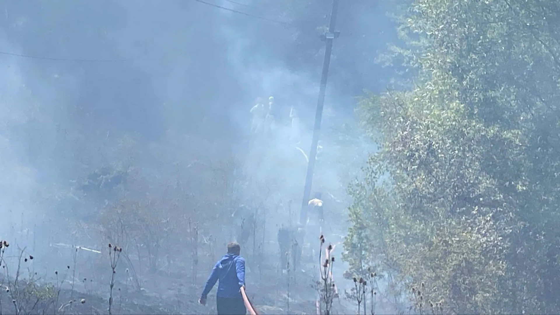 Bolu’da orman yangını, kısa sürede kontrol altına alındı