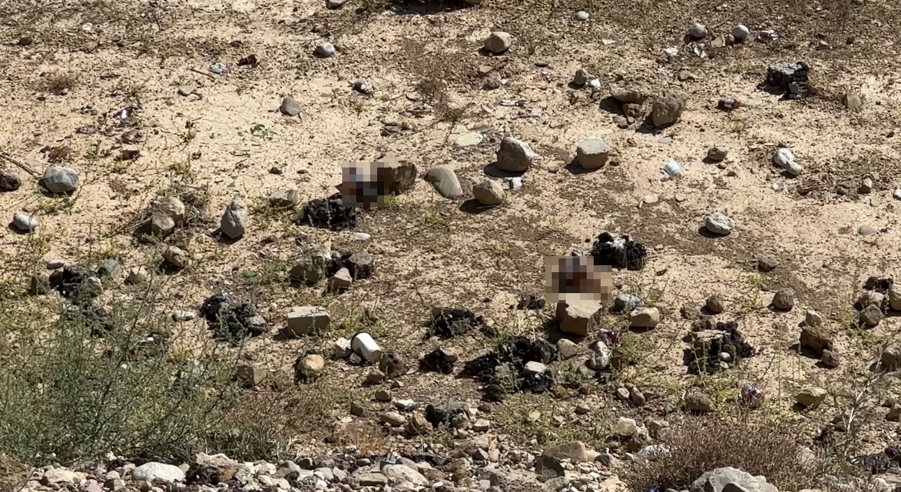 Yüksekova’da mezarlık yanına bırakılan bira şişeleri tepki topladı