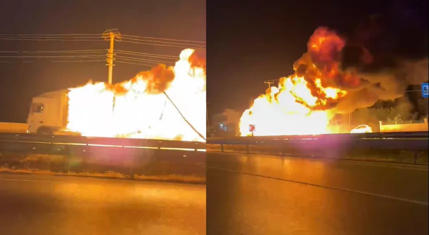 Samsun’da seyir halindeki TIR’da çıkan yangında alevler ağaçlara sıçradı