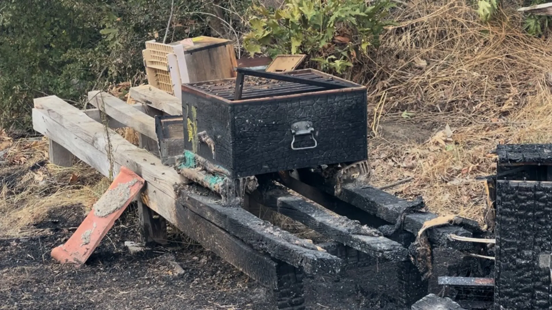 Çanakkale'deki orman yangınında arı kovanları alevlere teslim oldu