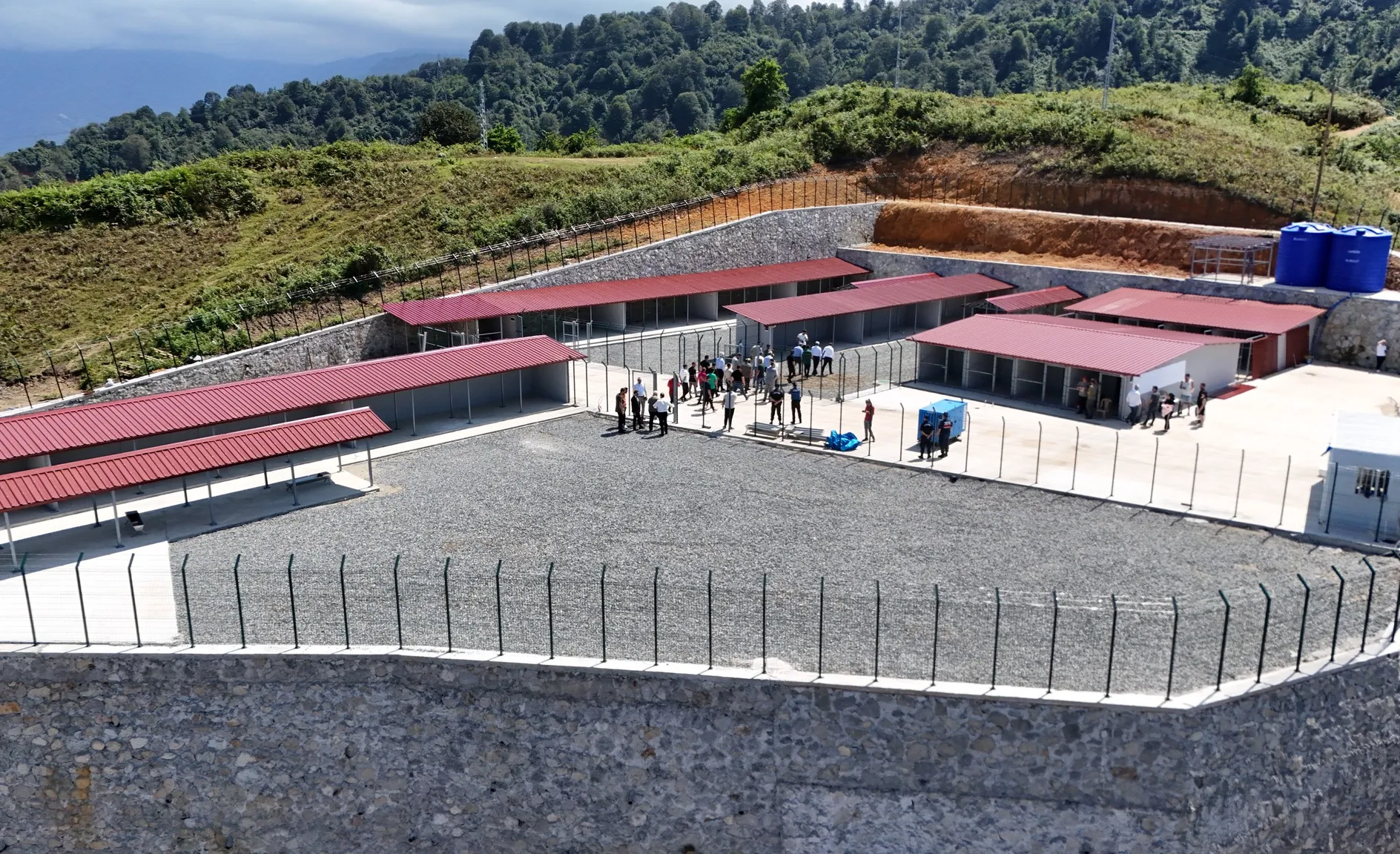 Rize'de Sokak Hayvanlarına Yönelik Projede Son Durum