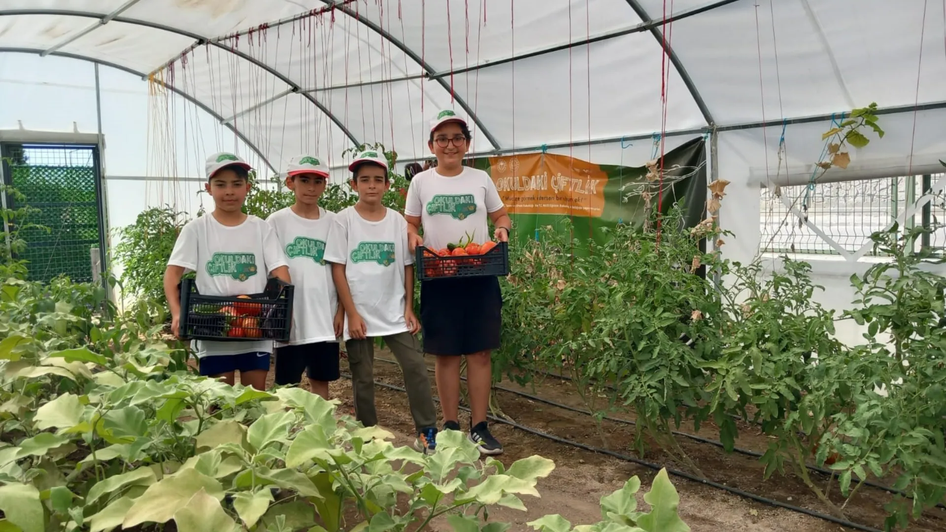 Önce öğrenip üretiyorlar, sonra yiyorlar