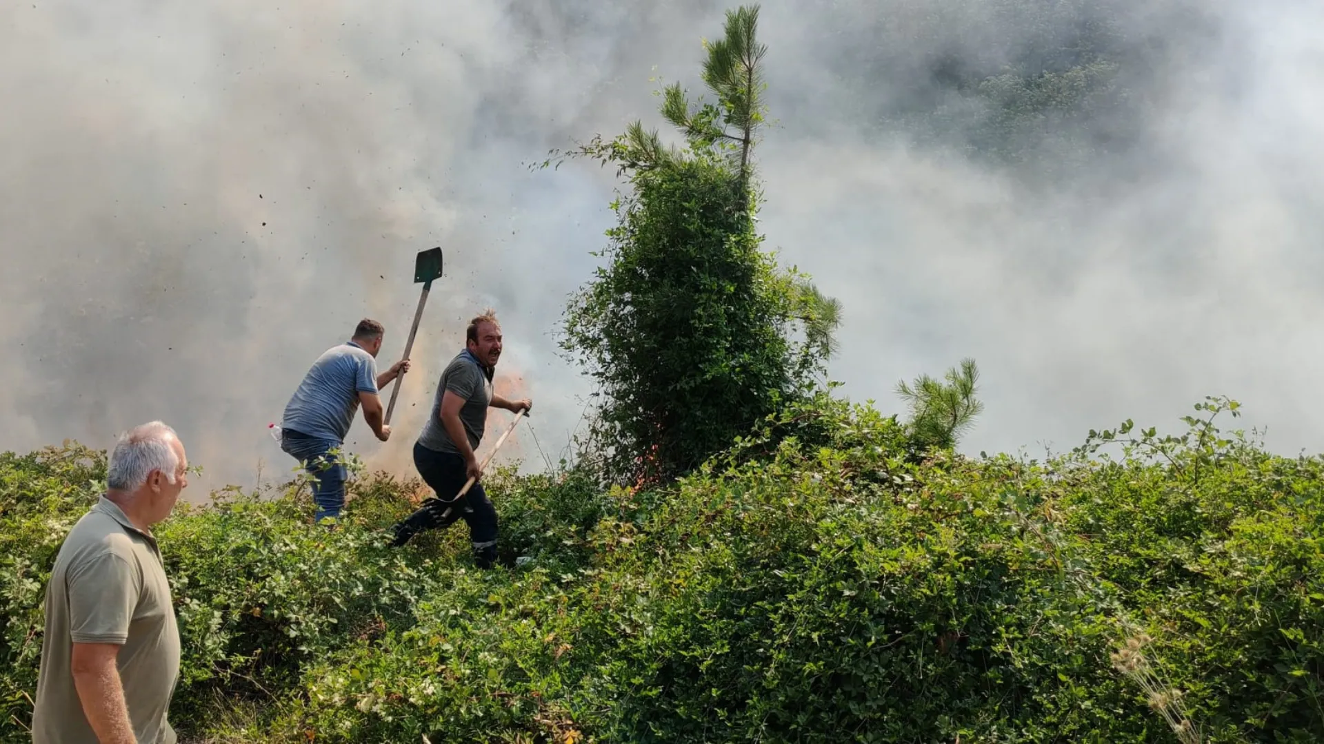 Bolu'da orman yangını 