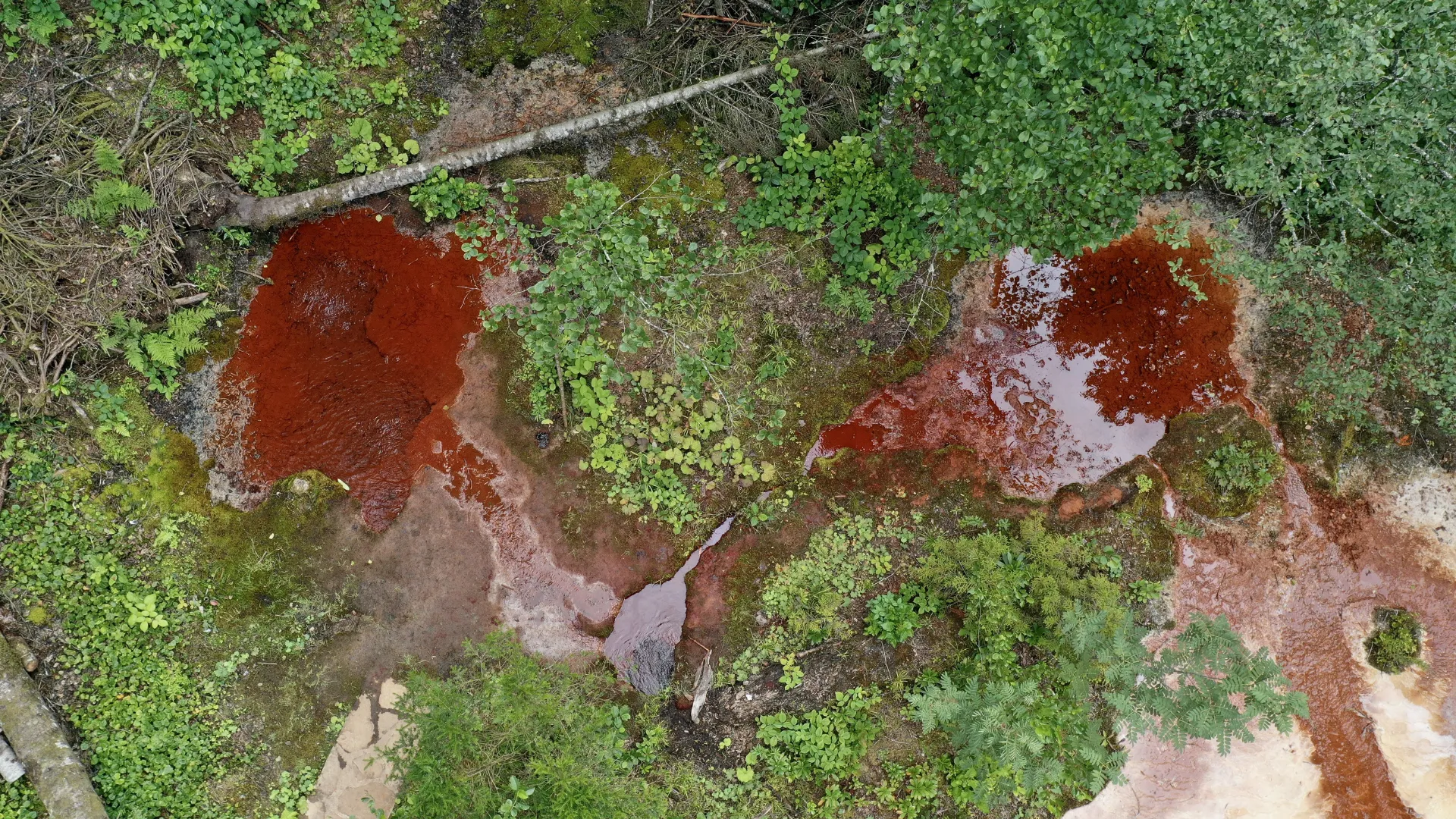 Kuzalan Tabiat Parkı kızıl renkteki suyu ve travertenleriyle büyük ilgi görüyor
