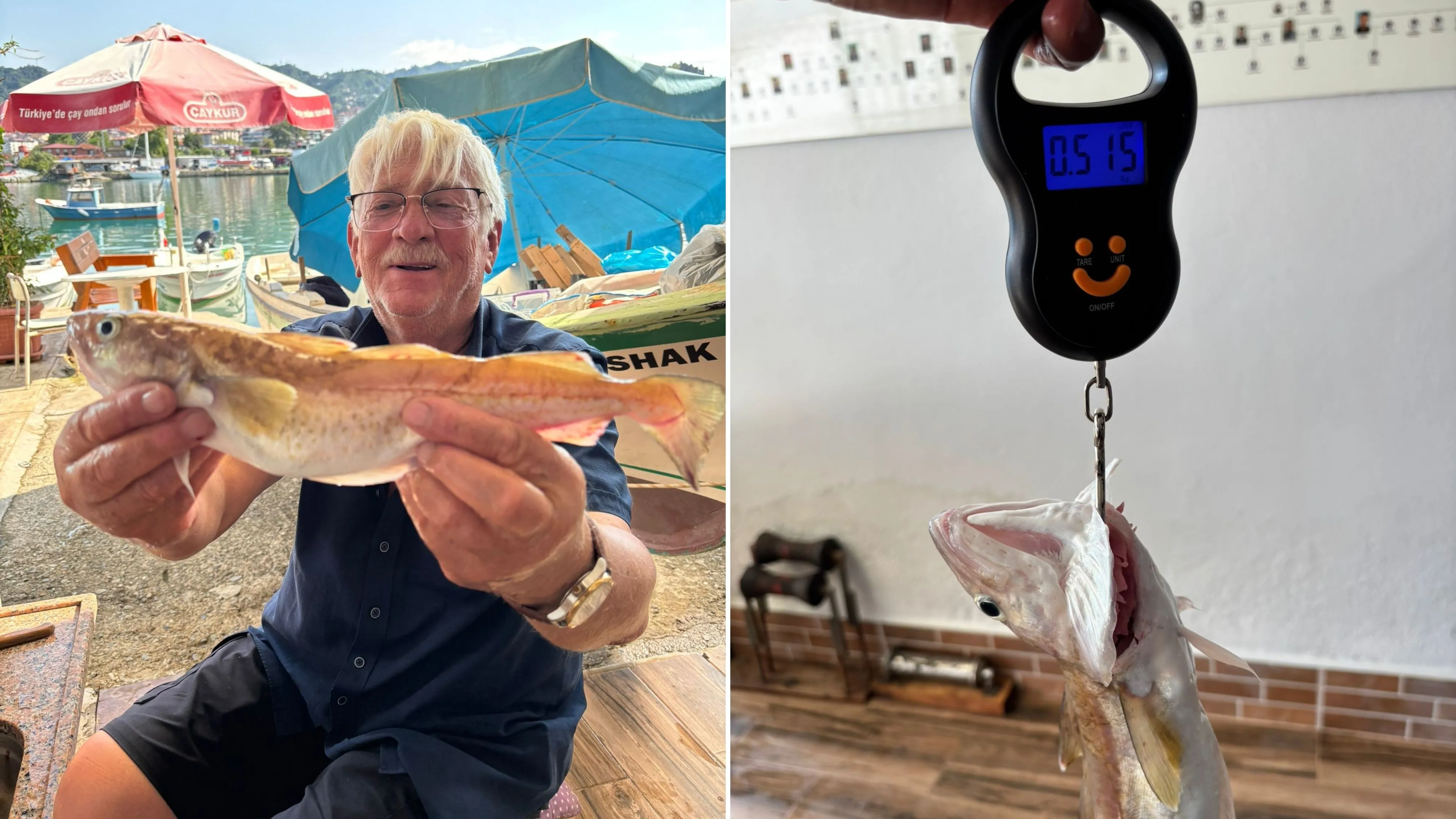 Rize’de balıkçının ağına 505 gramlık mezgit takıldı