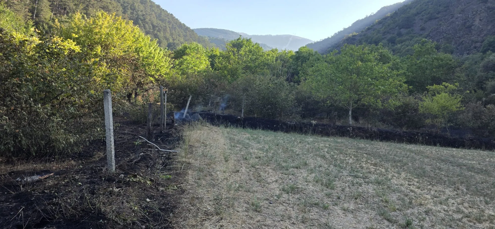 Bolu'da örtü yangını ormanlık alana sıçramadan söndürüldü