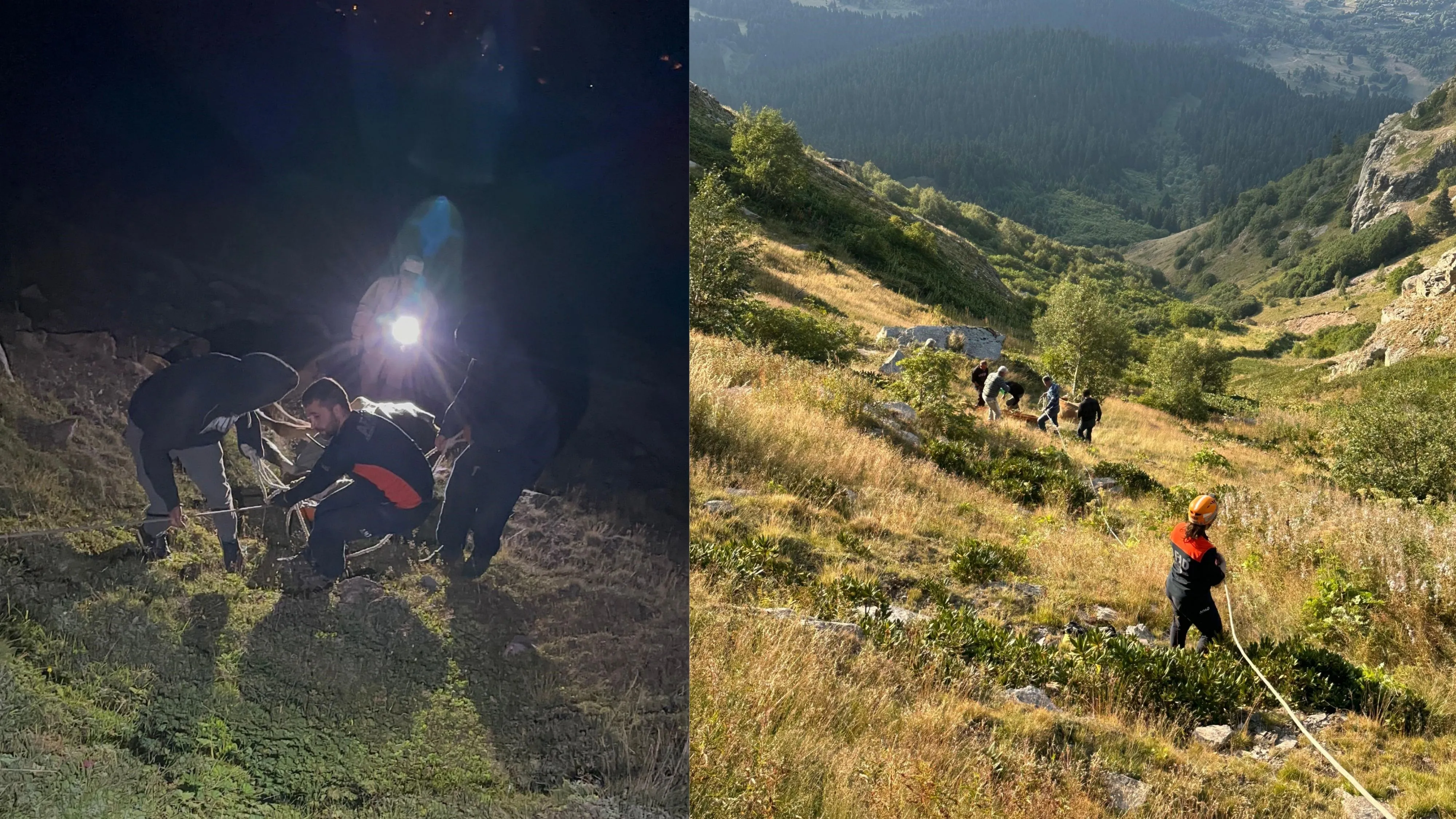 Yamaçtan düşerek mahsur kalan inek AFAD ekiplerince kurtarıldı