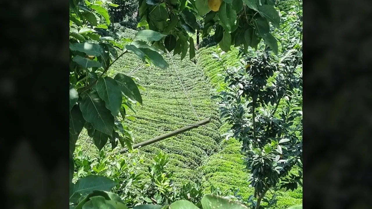 Ambarlık Köyünde Elektrik Tehlikesi