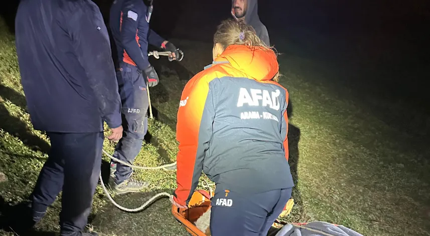 Artvin’de kayalıklara düşen inek AFAD ekipleri tarafından kurtarıldı