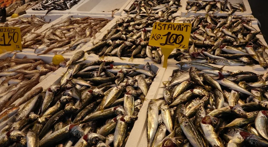 Av yasağı bitti, tezgahlar istavritle doldu