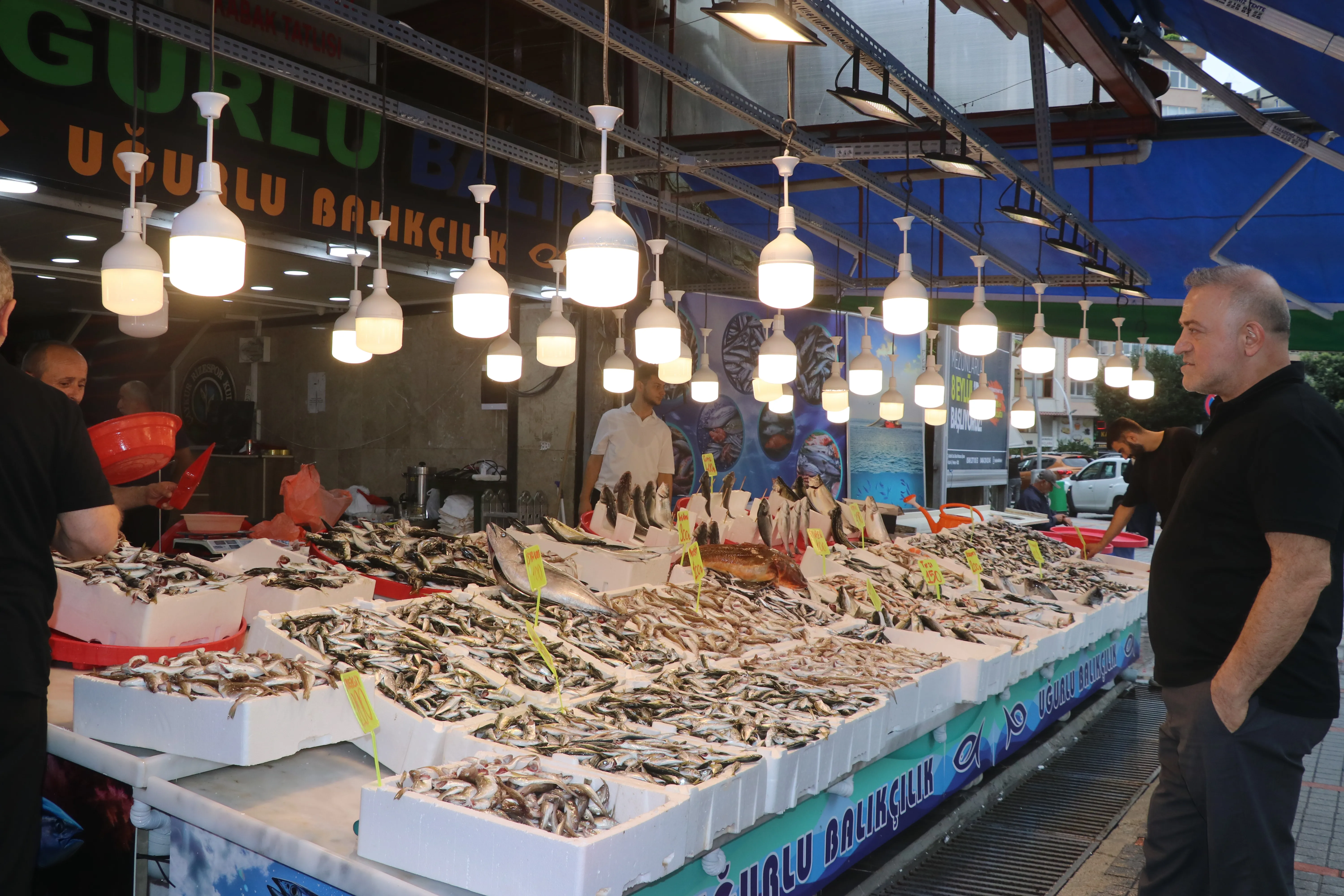 Rize'de balıkçı tezgahlarında bolluk yaşanıyor