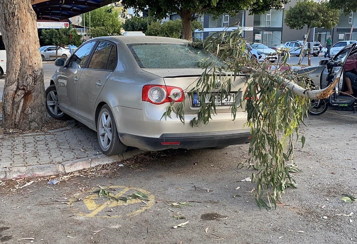 Kırılan ağaç dalı otomobile zarar verdi