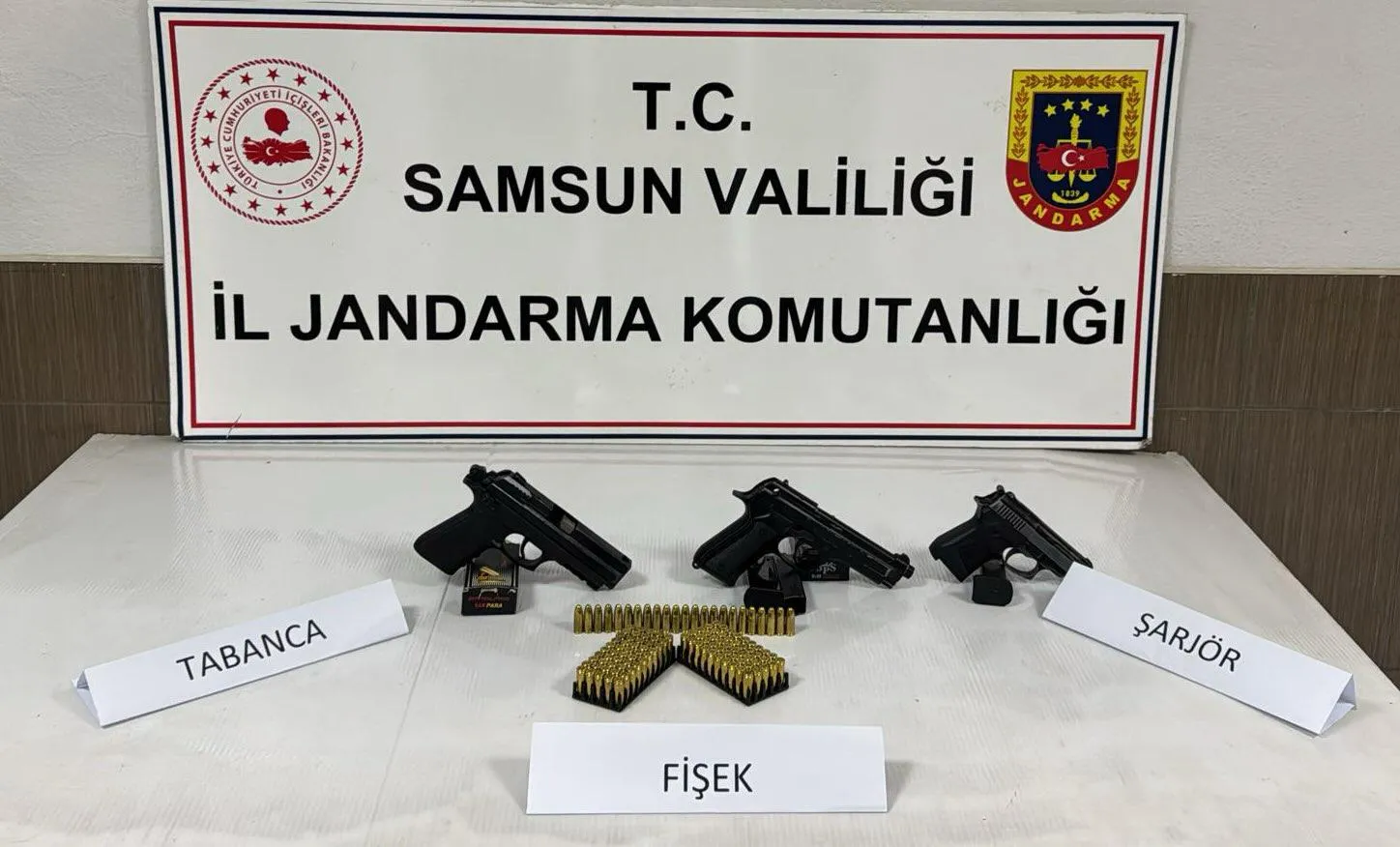 Samsun'da düzenlenen silah operasyonunda 1 kişi gözaltına alındı