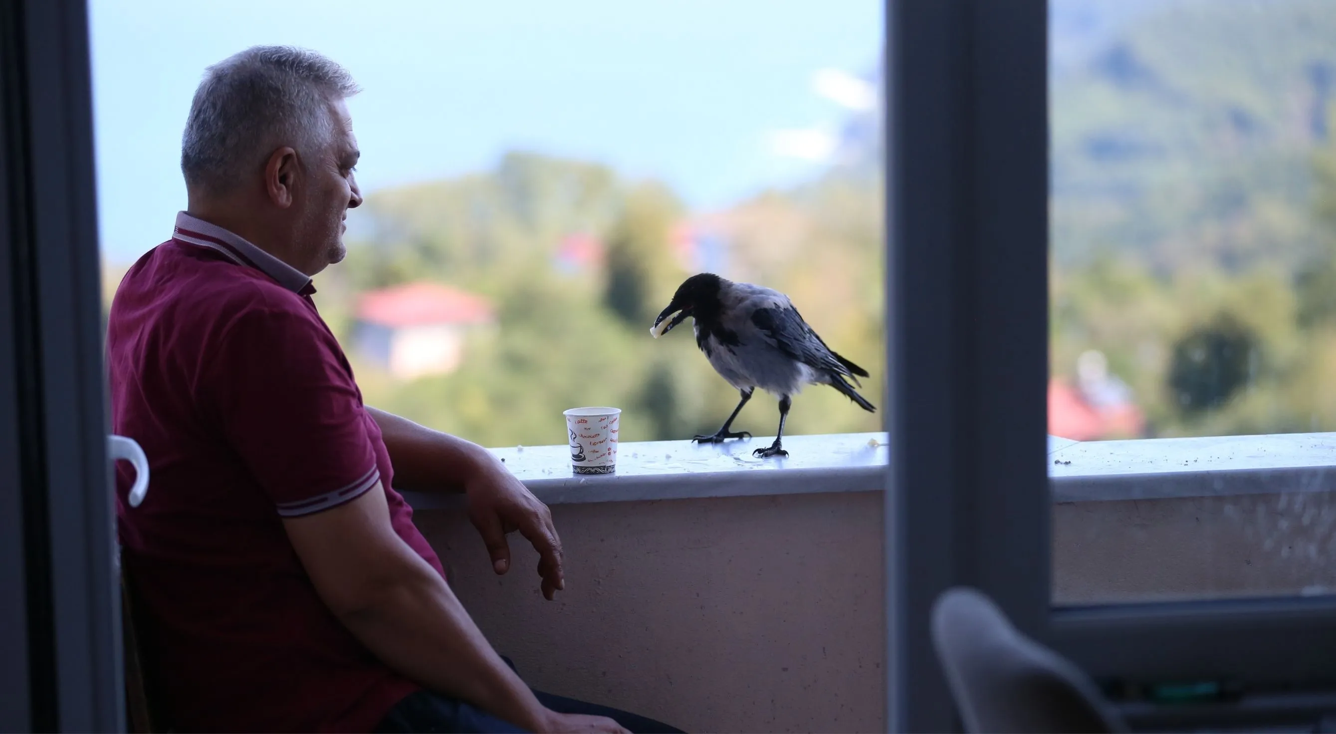 Fındık ikram ettiği kargayla dostluk kurdu