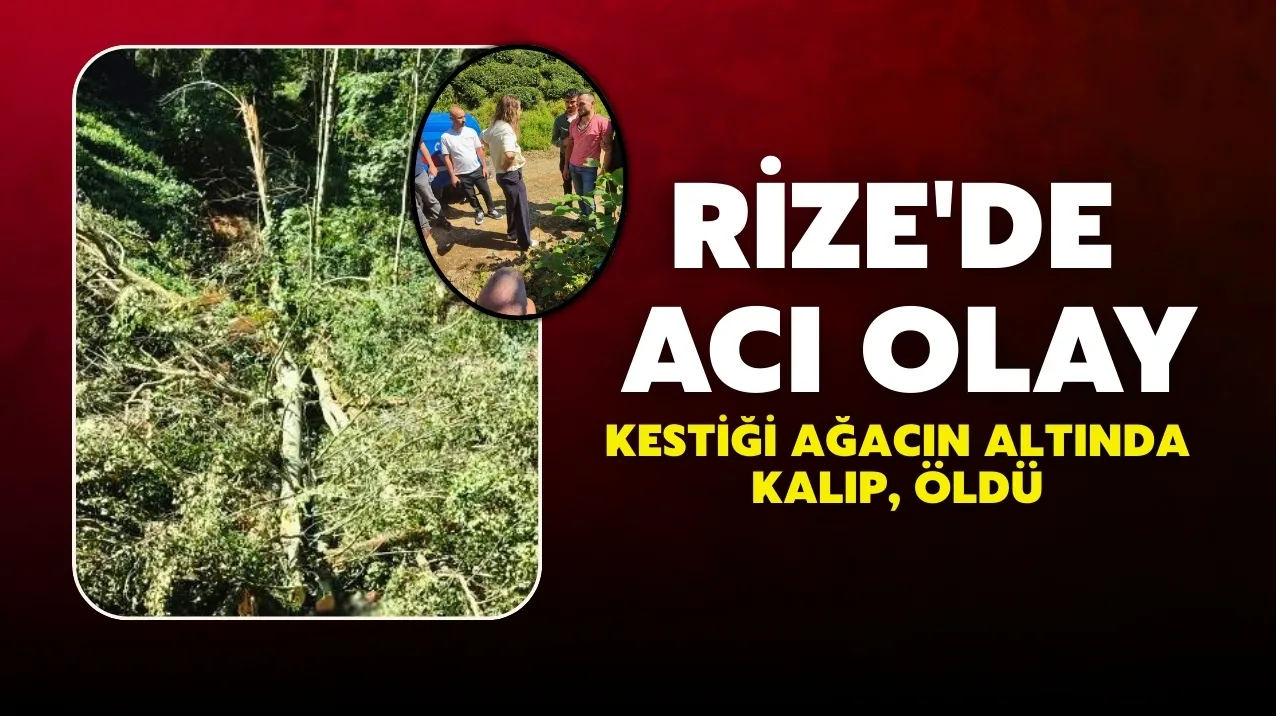 Rize'de Acı Olay: Kestiği Ağacın Altında Kalıp, Öldü