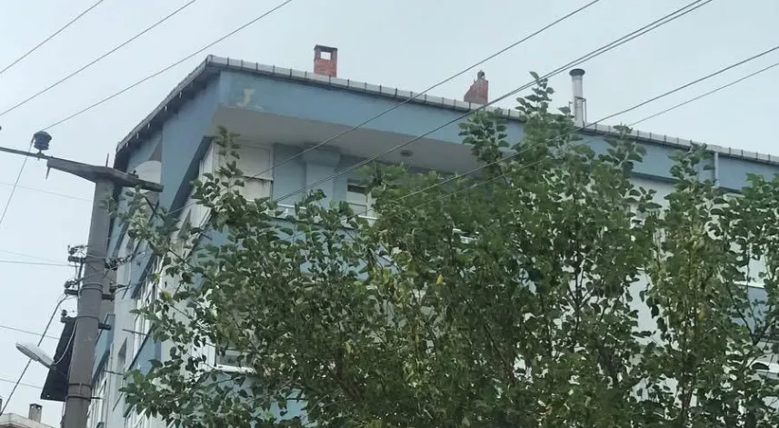 Ağaçların içinden geçen elektrik telleri tehlike saçıyor