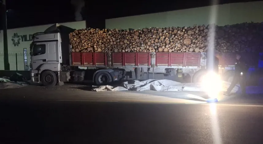 Brandayı toplarken otomobilin çarptığı TIR sürücüsü öldü