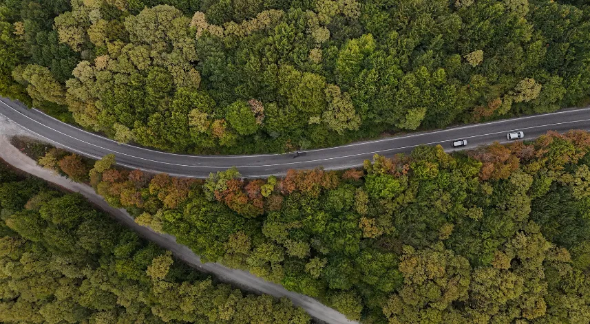 Bolu-Seben yolunda muhteşem sonbahar güzelliği