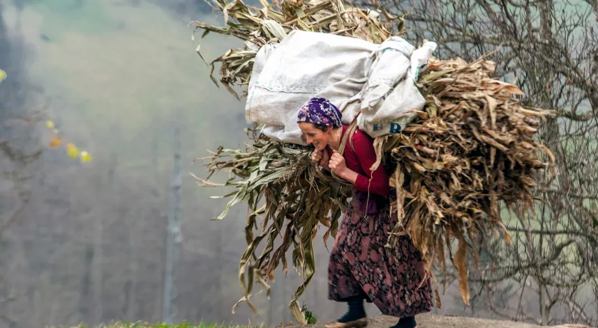 Karadeniz'in nemindeki sinsi tehlike; 'çiftçi akciğeri' kronikleşebilir