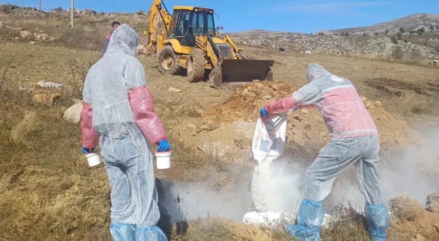 Gümüşhane’de şarbon hastalığı nedeniyle 6 köye giriş çıkış yasaklandı