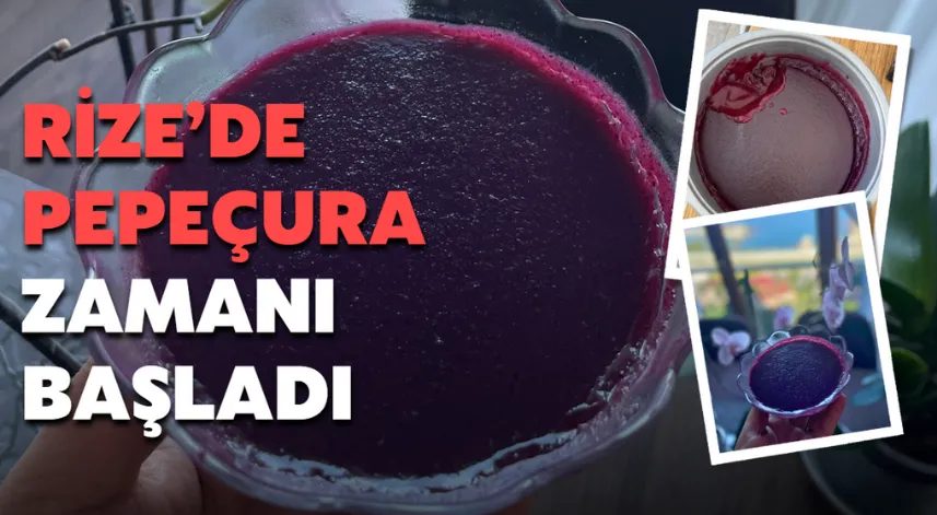 Rize’de pepeçura zamanı başladı