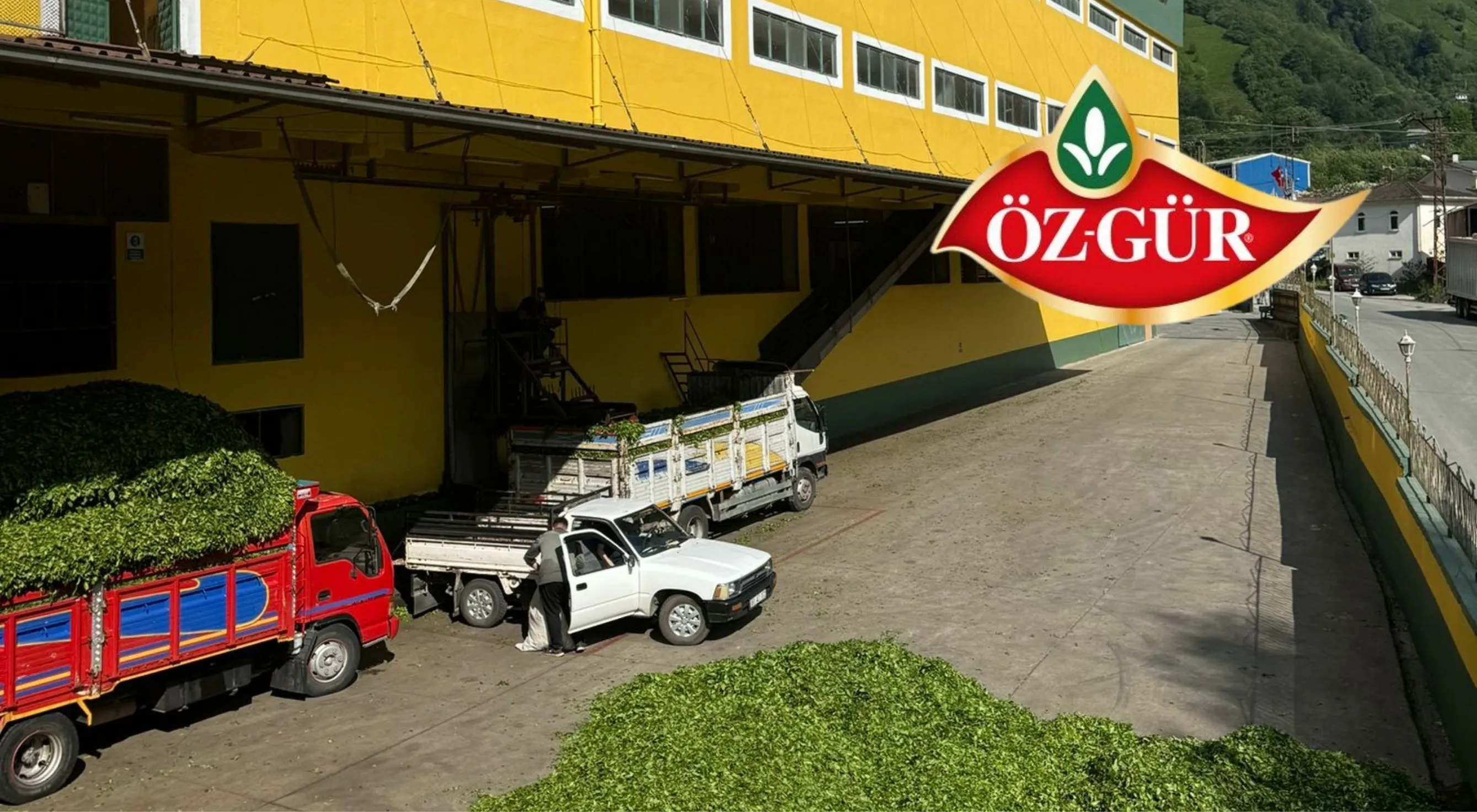 Öz-Gür Çay, Lipton'un haklarını satın aldı