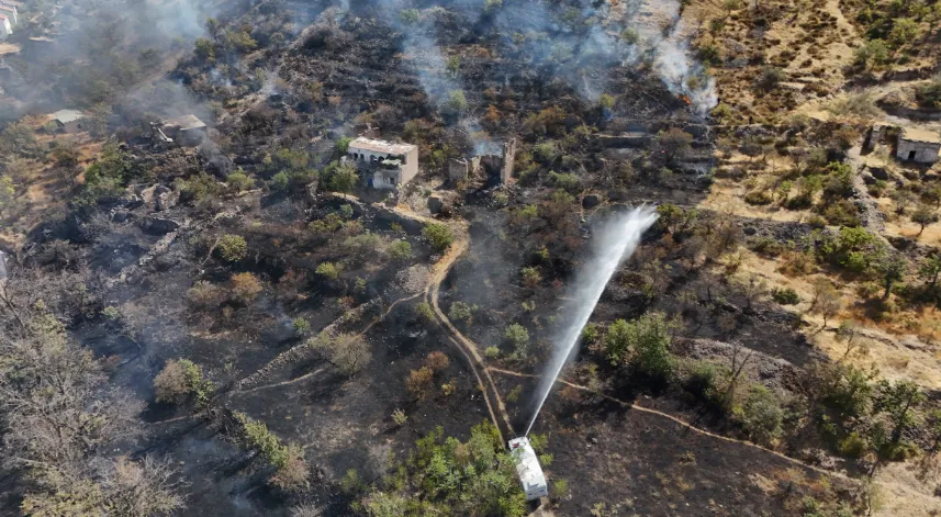 Patlıcan közlerken ormanı yakan şahıs yakalandı: 1 gözaltı