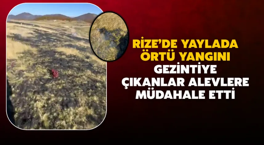 Rize’de Yaylada Örtü Yangını: Gezintiye Çıkanlar Alevlere Müdahale Etti