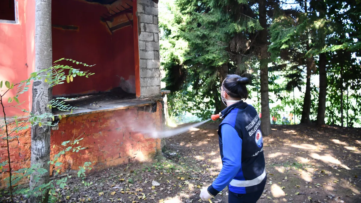 Trabzon'da kahverengi kokarcaya karşı ilaçlama