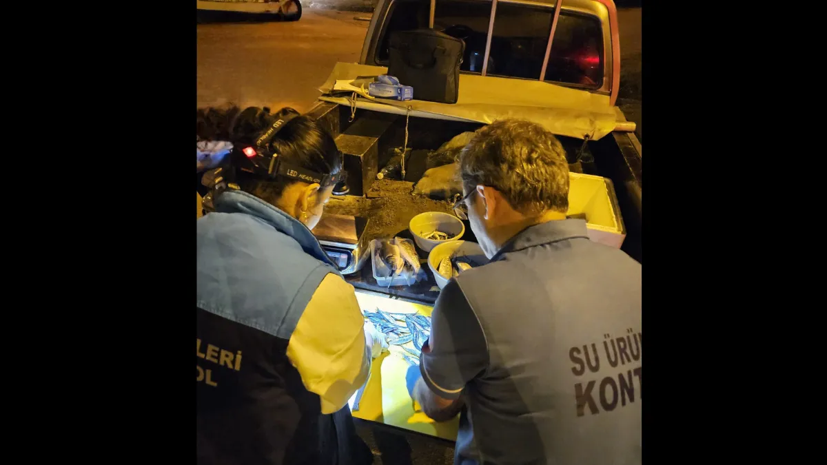 Trabzon'da su ürünleri denetimleri devam ediyor