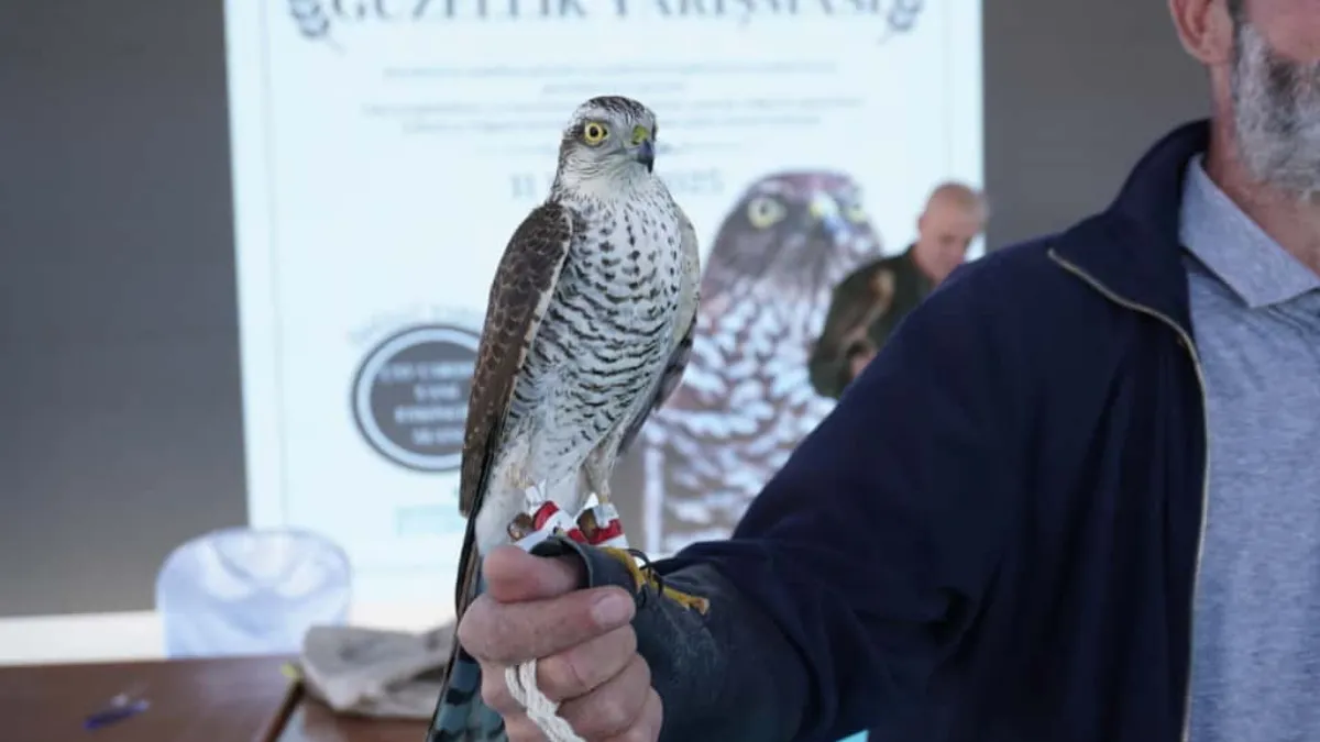 Rize’nin En Güzel Atmacaları Seçildi