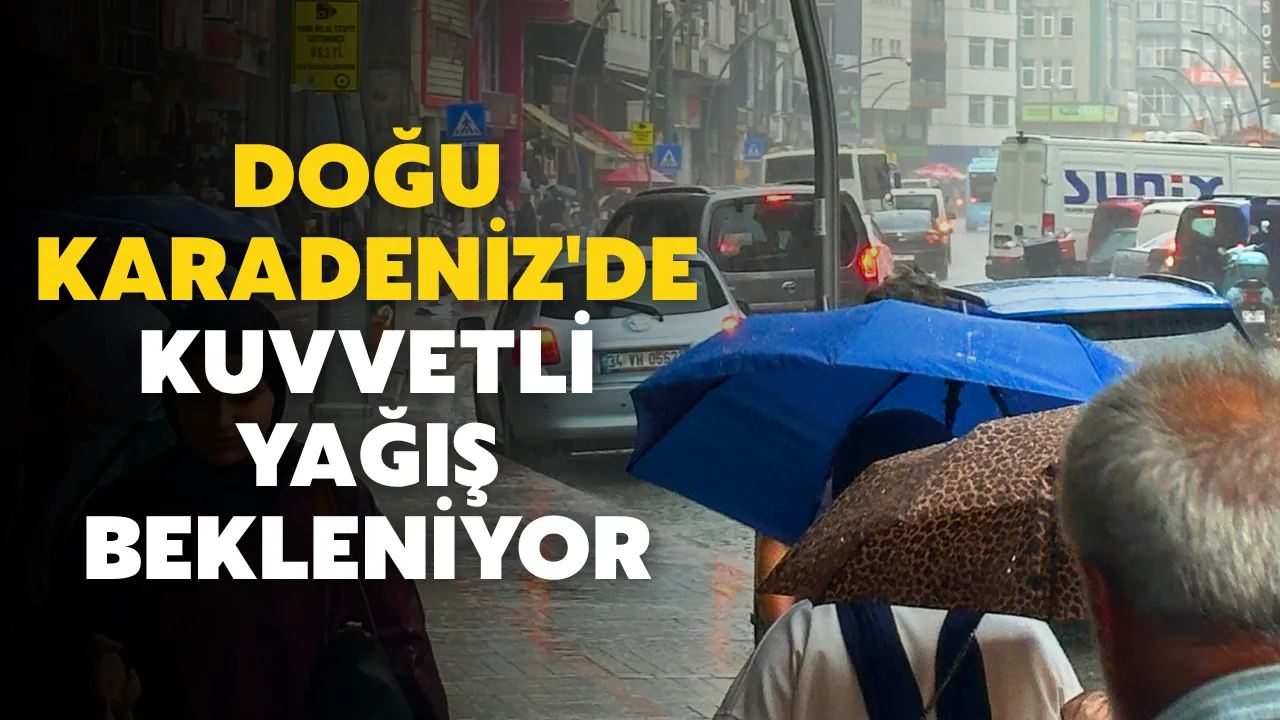 Doğu Karadeniz'de kuvvetli yağış bekleniyor