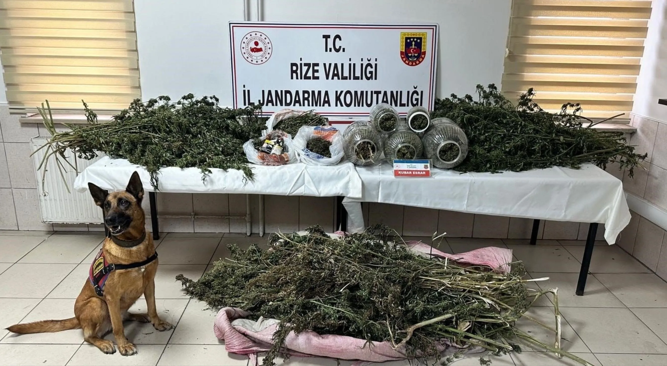 Rize'de jandarma ekiplerinden uyuşturucuya darbe