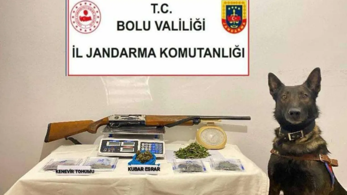 Bolu'da uyuşturucu operasyonu: 1 tutuklama