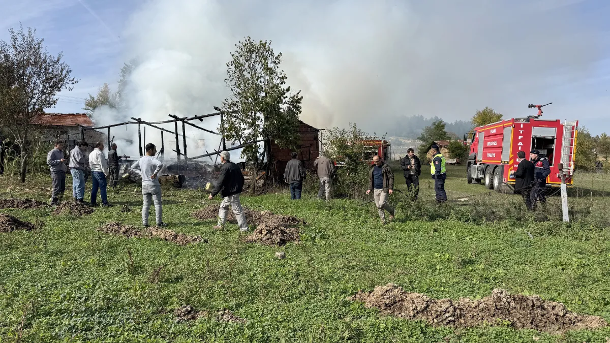 Karabük'te çıkan yangında 36 arı kovanı zarar gördü