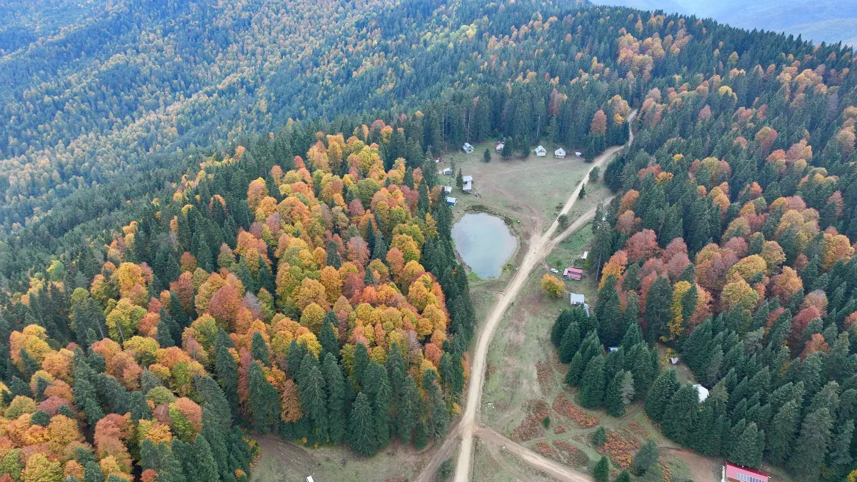Düzce, Sakarya ve Bolu'da sonbaharın tonları doğayı renklendirdi